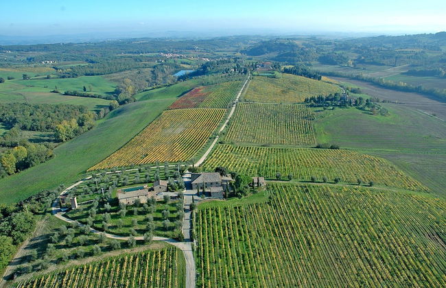 Tenuta di Monaciano - Foto 1
