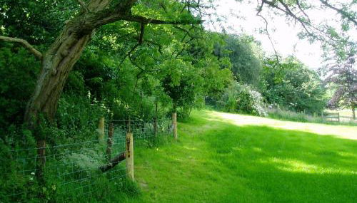 The Forest Country House B&B - Foto 5, Garden