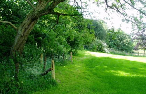 The Forest Country House B&B - Foto 5