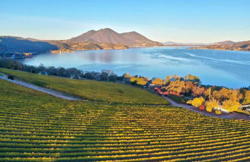 Vineyard Setting With 180 Panoramic Lake Views - Foto 11