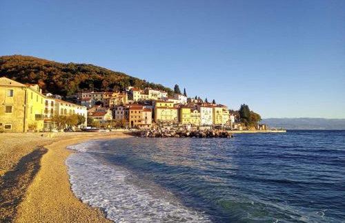 Apartman EN - Foto 42