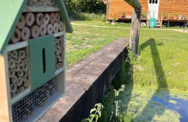 Mountbatten Shepherds hut & Buckhurst Shepherds hut - Foto 33