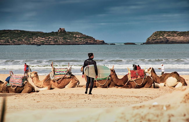 Hanah Apartments - Photo 73