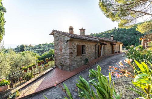 La Bandita - antica casa di campagna toscana con piscina, WIFI e splendida vista - Foto 8