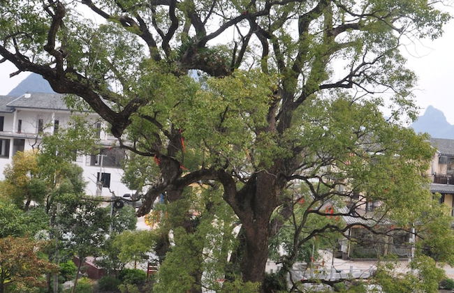 FangLian Lake Holiday Resort - Photo 55