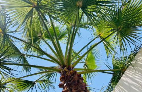 Casa Alegriá - 3 bedrooms villa with private pool - Foto 22