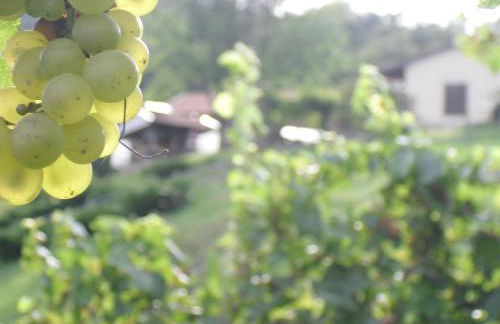 Agriturismo Cornolade - Foto 31