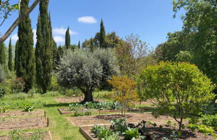 Quinta da Mata de Baixo - Foto 16