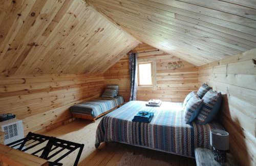 Au chant des oiseaux - rouge gorge - Foto 5