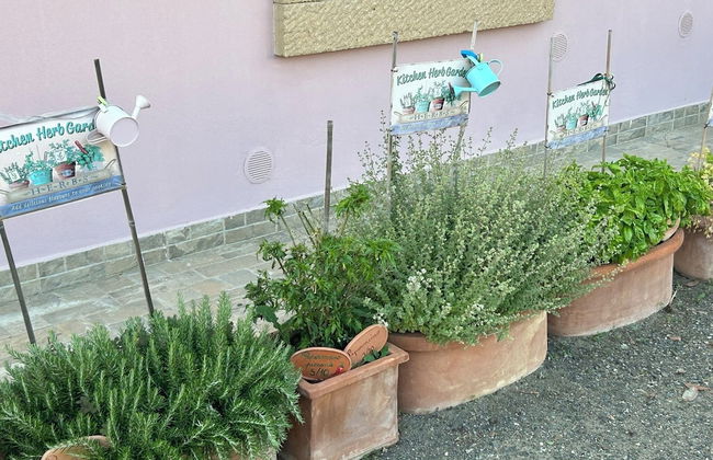 Fattoria Palazzeta Pet & Family Friendly - Foto 5