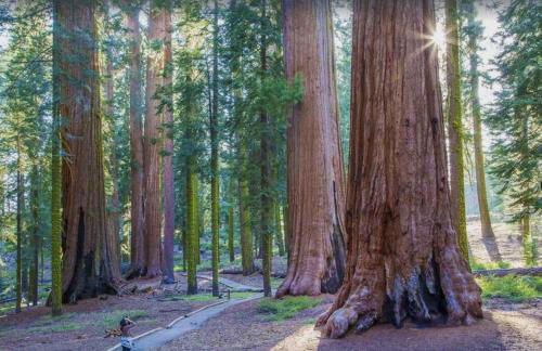 Sierra Pines Villa Deck Jetted Tub Game Rm - Photo 78