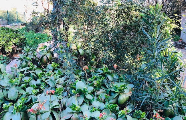 Fantastico San Teodoro Fraili LUC01 - Foto 16