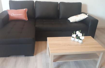 Magnifique Studio bord de mer numéro 88 - Foto 22