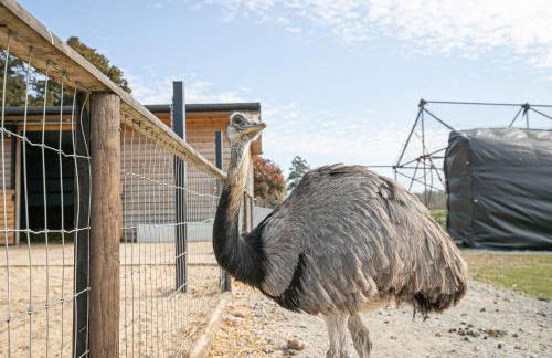 Fairytale Staycation - Near London by Damask Homes - Foto 39