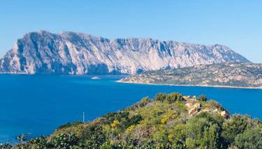 Agriturismo La Rocca Manna - Foto 5