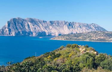 Agriturismo La Rocca Manna - Foto 5