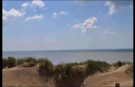 Saltwater Cottage - Foto 36