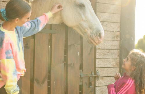 Apartamenty Pod Dębami Stadnina Koni SPA Jezioro i Morze Sarbsk - Photo 9