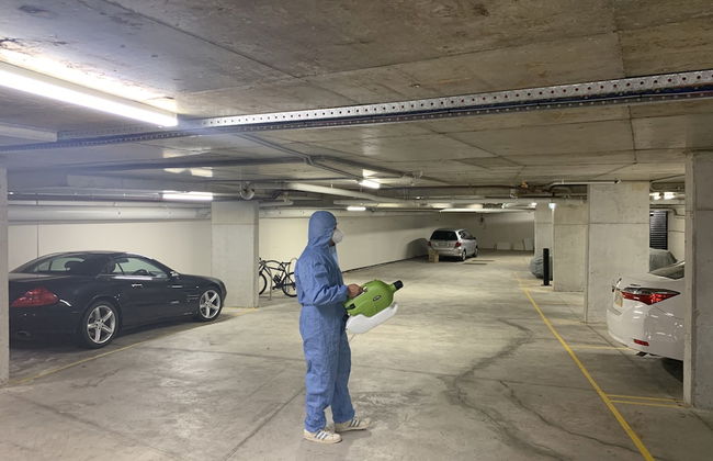 Seranin Gordon - Foto 57