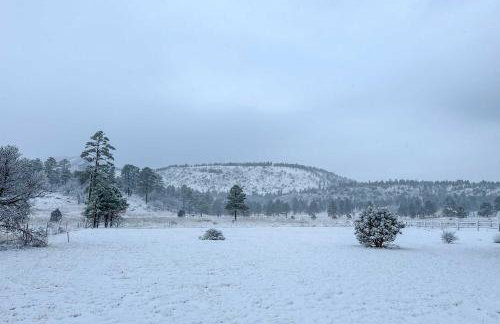 Family Home in Flagstaff with Surrounding Mtn Views! - Foto 31