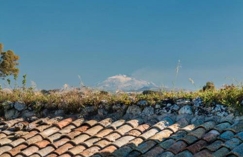 Baglio Occhipinti - Foto 15