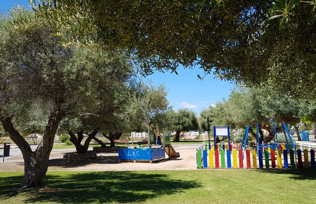 Jorge Comin - Foto 22