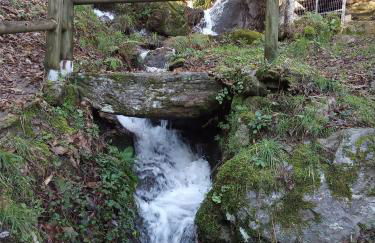 Casa silvosa - Photo 13