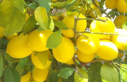 Luxury New !!! Apartment One and Only with terrace & free bikes - Foto 25