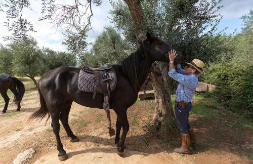 Casale del Forno - Foto 44