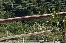 Rancho do andi - Foto 19