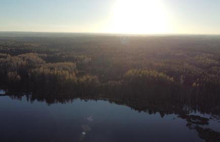 Mieszkanie nad jeziorem Rydzówka+prywatny staw+plaża+Mazury - Foto 33