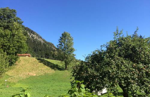 Alpaka-Hof Landinger - Foto 9