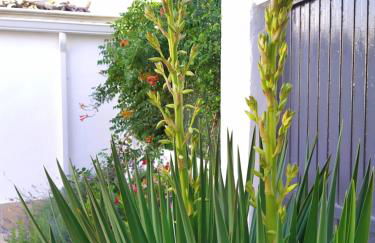 Casa Eufemia - Campo de Criptana - Foto 7