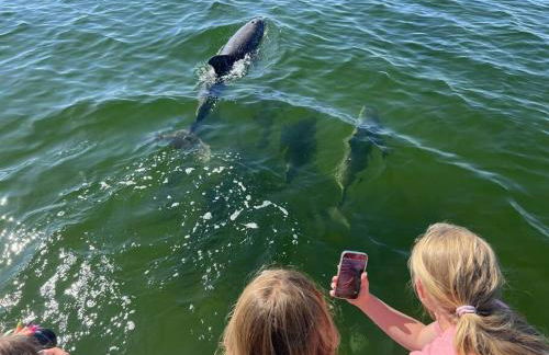 New Listing! Prime Location in Blue Mountain Beach - Foto 11