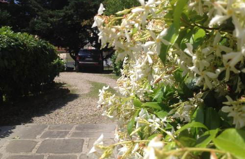 La Piccola Oasi con parcheggio - Foto 55