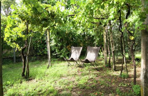 Luxurious, cozy apartment with pool near Cortona in Tuscany versatile - Foto 10