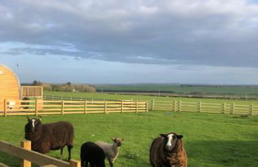 Caithness View Luxury Farm Lodges and BBQ Huts - Photo 29