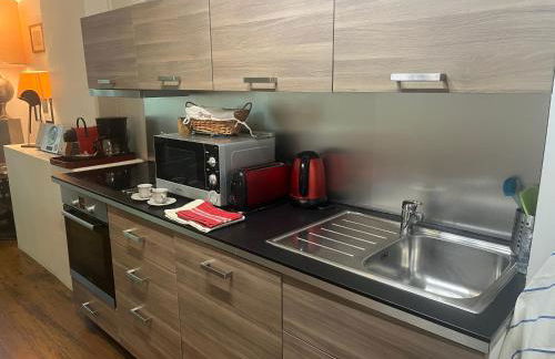 Duplex Face au Palais - Foto 5