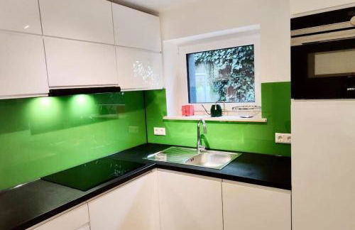 Modern-gemütliche Wohnung, ganz neu, in Neuenheim, Heidelberg - Foto 7