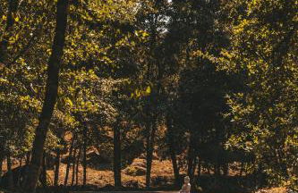 Moinho da Lapa - Foto 24