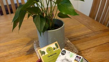 Delightful 3-bedroom Cottage, Brockenhurst - Foto 5