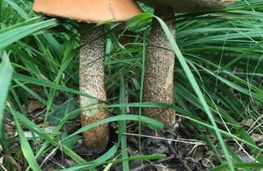 Perfect holiday Home from Home , three bedroom house for 5 guests - Foto 28