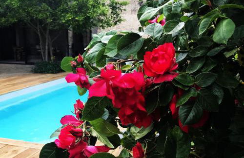 La Paresse en Ville - Photo 8