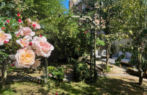 Field View - Foto 32