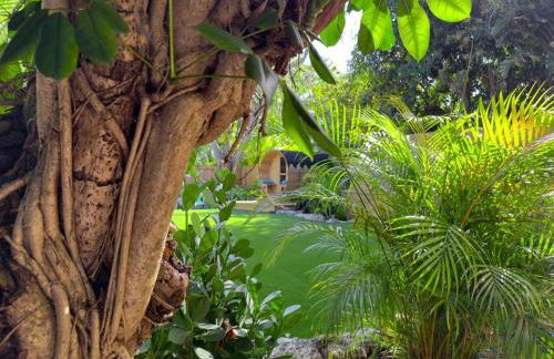 Villa Santa Maria - Foto 38