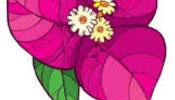 B&B LA BOUGANVILLE - Foto 2