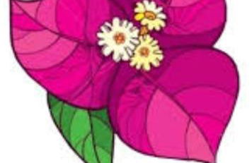 B&B LA BOUGANVILLE - Foto 2