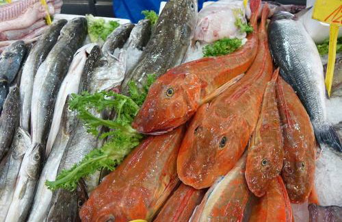 Apartman Iskra 2 - Foto 51