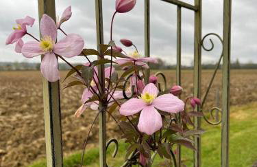 Gîte 5, Domaine Logis Gascogne - Foto 37