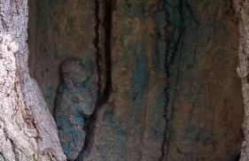 Ferienwohnung Jo Secco - Foto 28